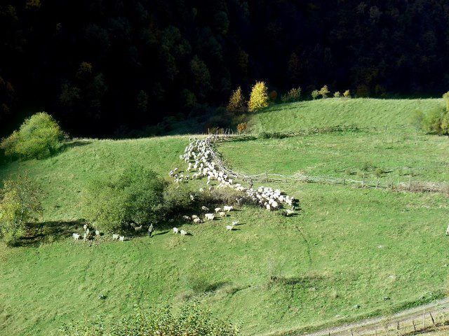 უკანაფშავი, შუაფხო  მაისს
