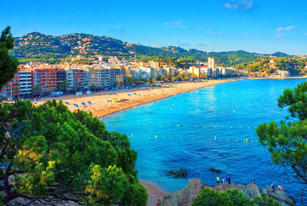 ⭐შოკ აქცია!!! დღე კოსტა ბრავაზე !!!