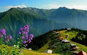 Tour to Trabzon  gel