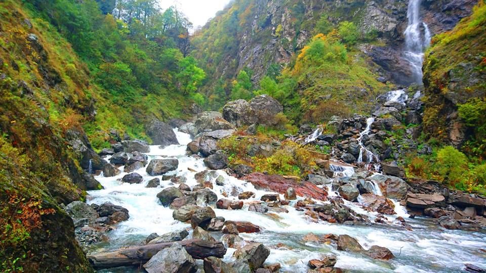 გაიგე პანკისის ისტორია