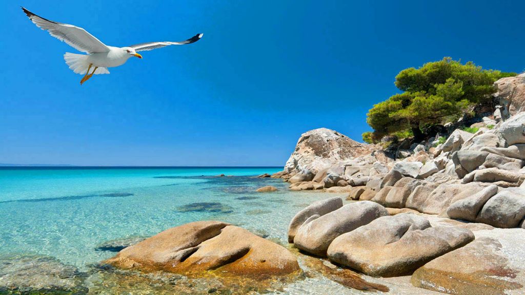 აქცია!!! შოკ ფასები საბერძნეთის ტურებზე!!! ჰალკიდიკი