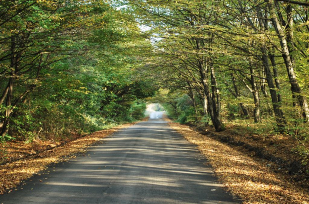Kakheti ..... Sighnaghi, Bodbe, Kvareli, Winery Khareba .... Tsinandali