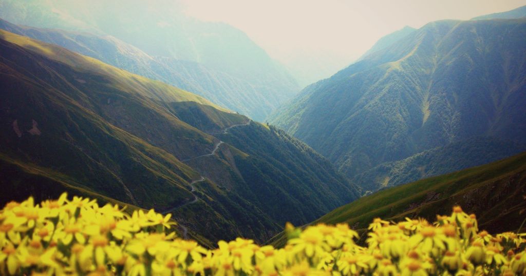 თუშეთს ტური