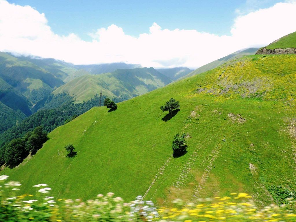 თუშეთს ტური