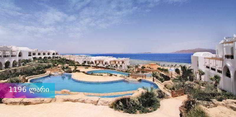 აქცია ხვალინდელ რეისზე