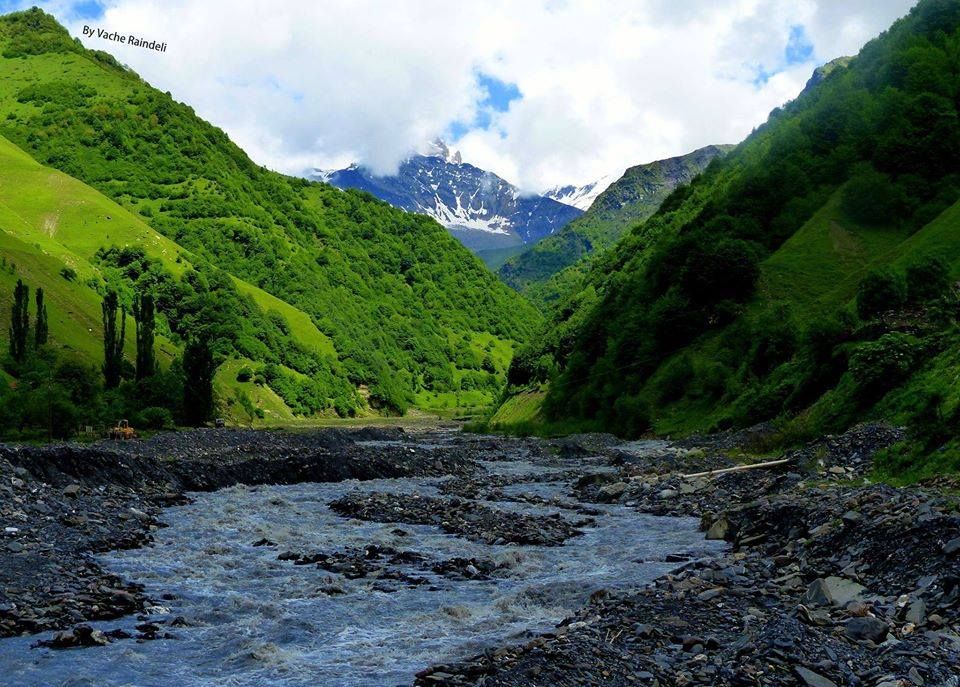 ზურმუხტისფერი გუდამაყარი - ZooM