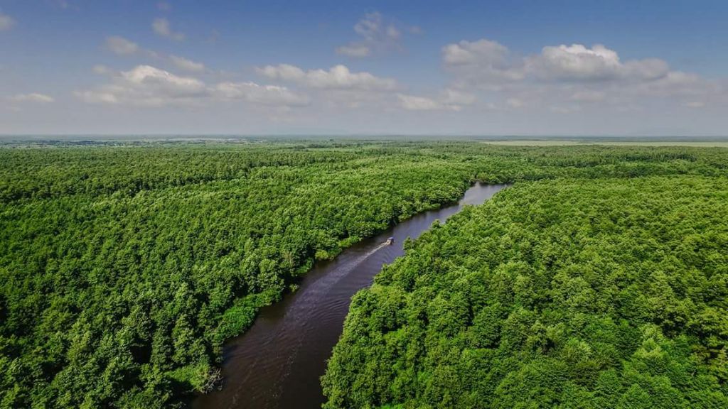 ორ დღიანი ტურიბსამეგრელოში,კოლხეთის ეროვნული პარკი
