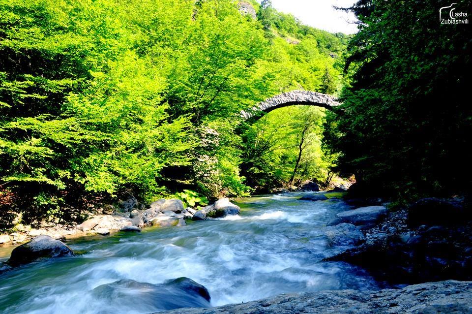 რკონი - თეძამის ხეობა - ZooM