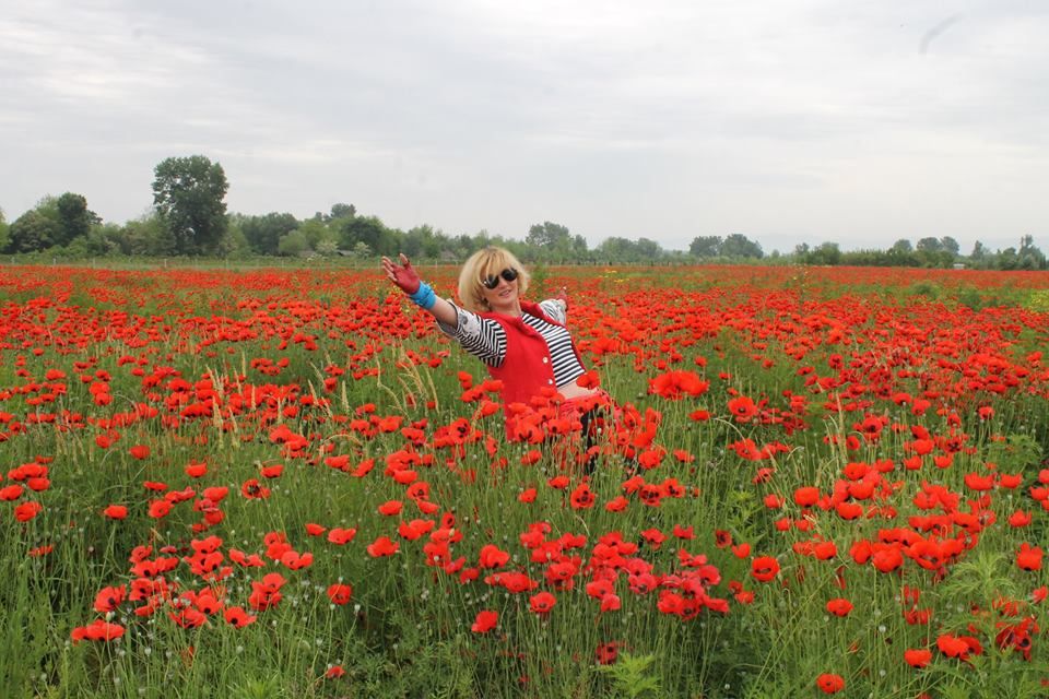 სასწრაფოდ ! აქცია ! სულ ! ლაგოდეხის ყაყაჩო-ჩანჩქერ ტური ! ! ! უკანასკნელი ადგილი !