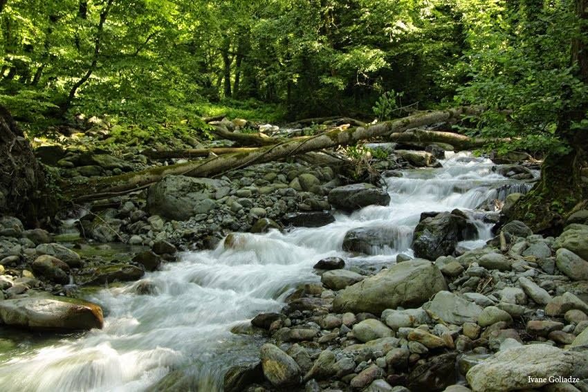სასწრაფოდ ! აქცია ! სულ ! ლაგოდეხის ყაყაჩო-ჩანჩქერ ტური ! ! ! უკანასკნელი ადგილი !