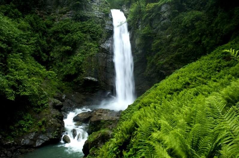 სასწრაფოდ ! აქცია ! სულ ! ლაგოდეხის ყაყაჩო-ჩანჩქერ ტური ! ! ! უკანასკნელი ადგილი !
