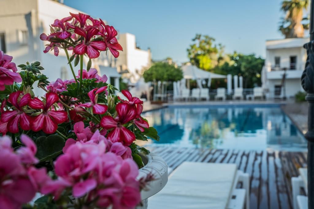 ბოდრუმის აქცია