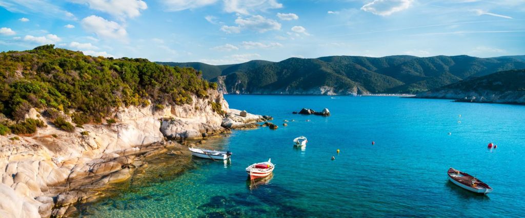 წამოუდგენლად დაბალი ფასი ჰალკიდიკი