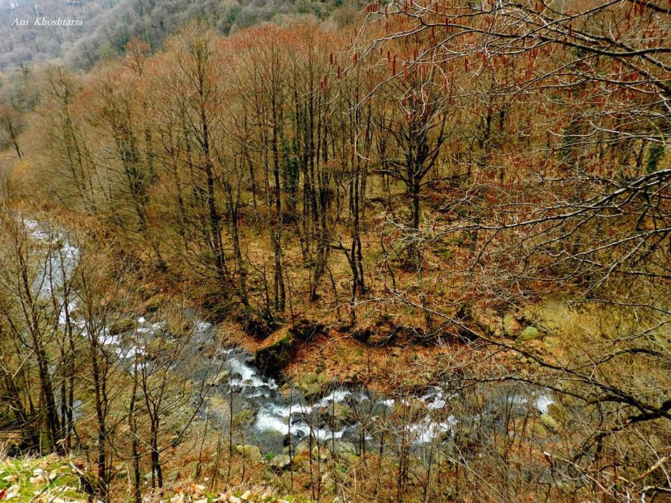 საბუე, ინწობა, გრემი, ნეკრესი და ა.შ.