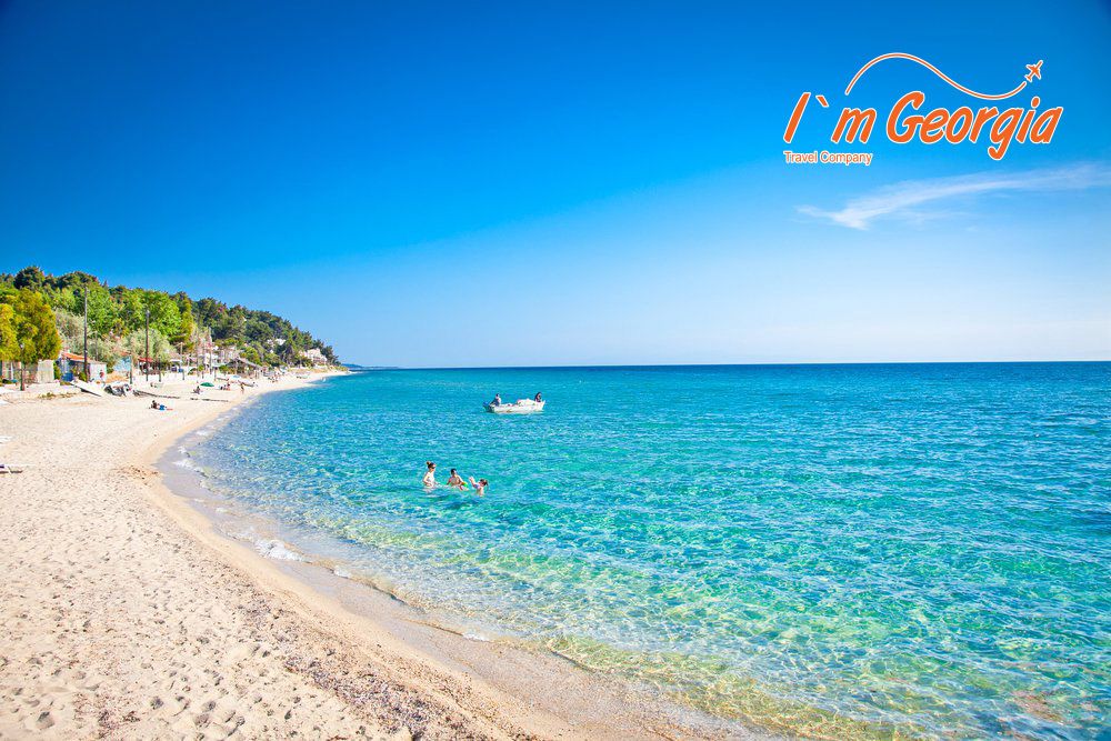 ჰალკიდიკი სრული პაკეტი -