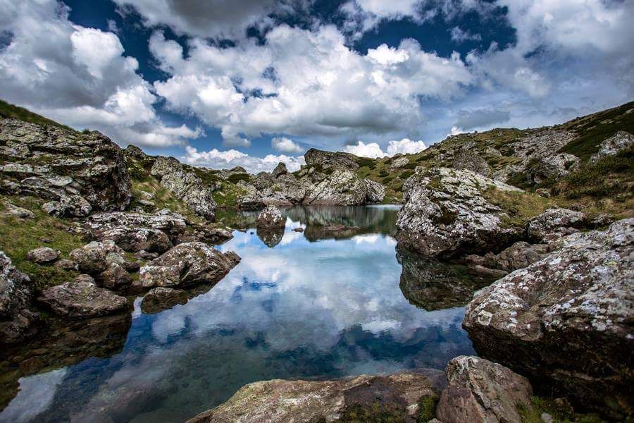 აბუდელაურები-ჯუთა,მეხუთე სეზონი