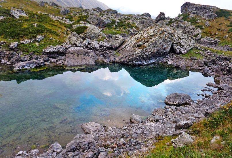 აბუდელაურები-ჯუთა,მეხუთე სეზონი