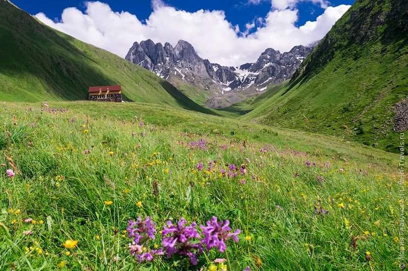აბუდელაურები-ჯუთა,მეხუთე სეზონი