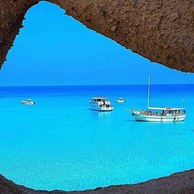 ⭐მხოლოდ დღეს!!! დღე კვიპროსზე !!!