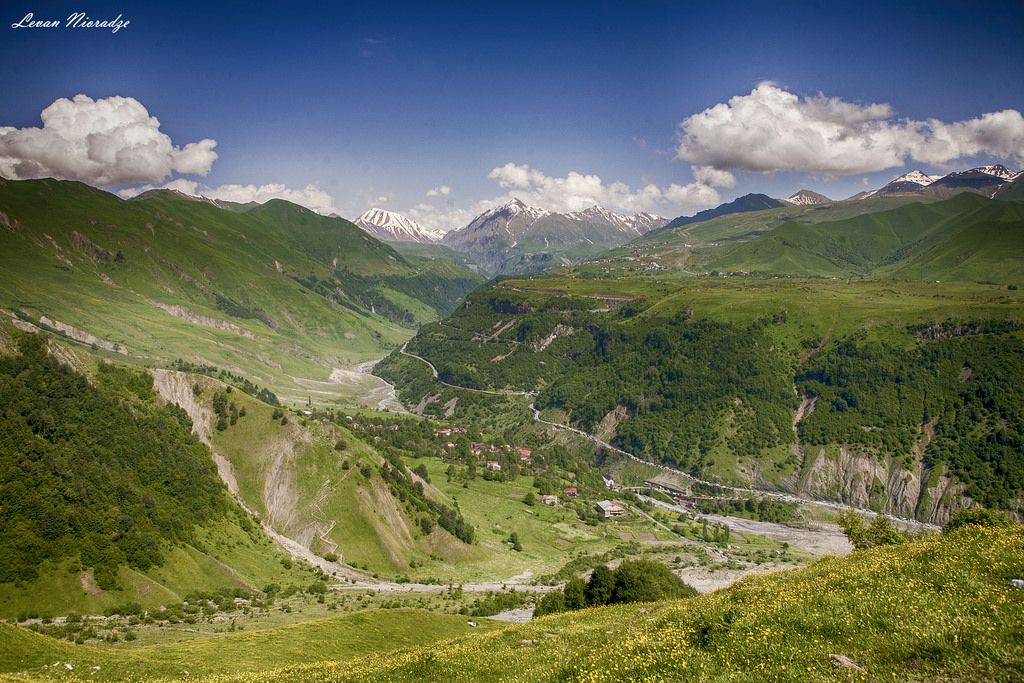 ლომისობა კვებით!