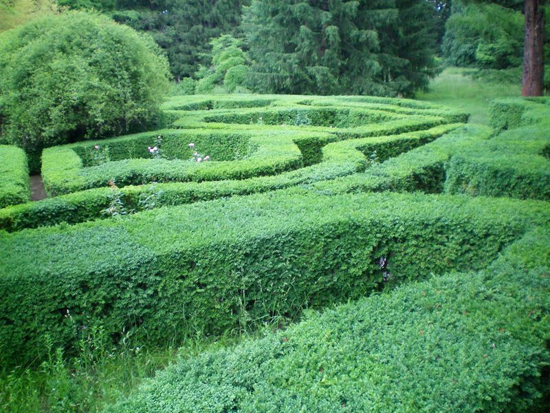 ტური კახეთში