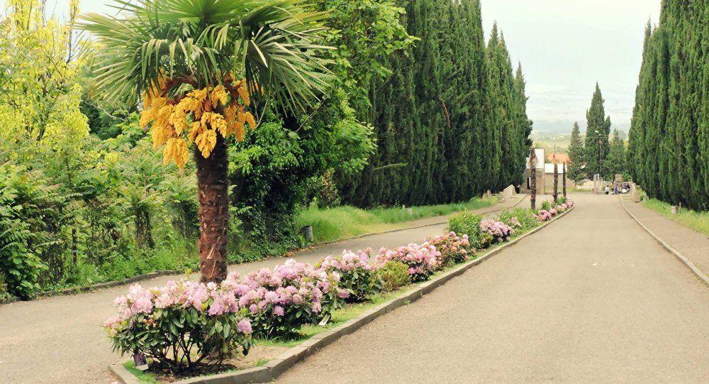 ტური კახეთში