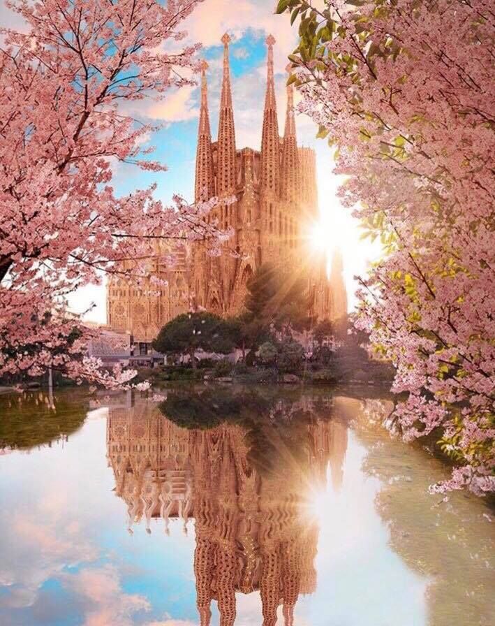 აღმოაჩინე ბარსელონა