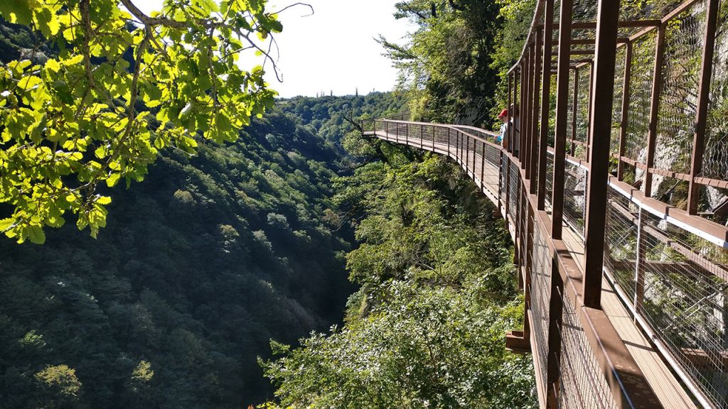 წამოშენც ოკაცესა და მარტვილში