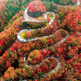 !!!! Однодневный тур в Тушети !!!!