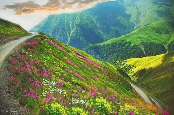 !!!! Однодневный тур в Тушети !!!!