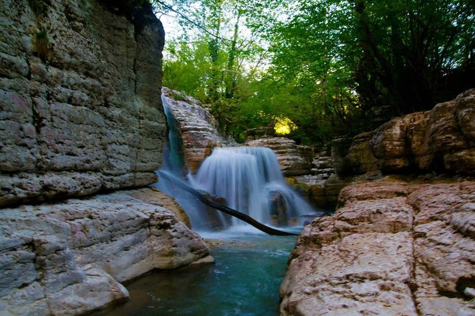 ტური საქართველოში