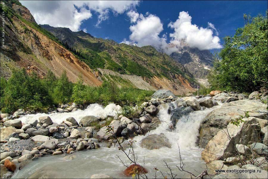 ტურისტული კომპანია