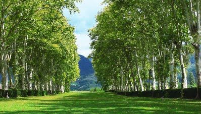 ეგზოტიკური დაუვიწყარი ტური მარტვილის კანიონზე- ლ