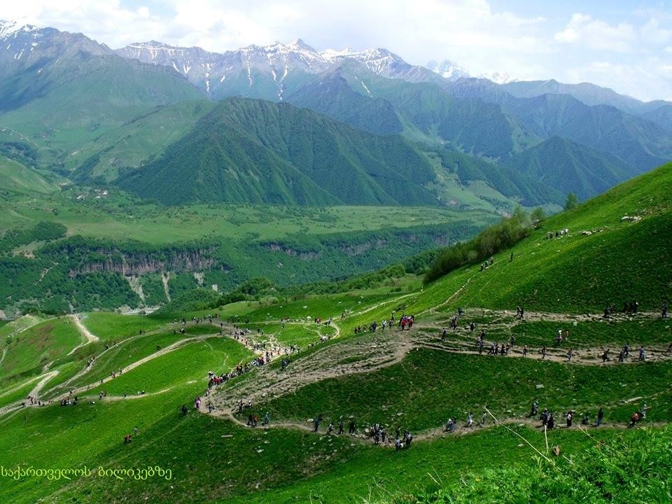 ლომისობა -  ივნისი, ოთხშაბათი