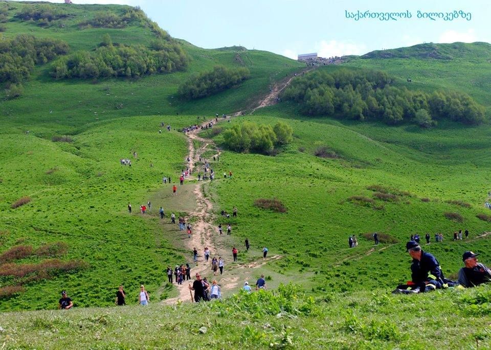ლომისობა - ივნისი, ოთხშაბათი