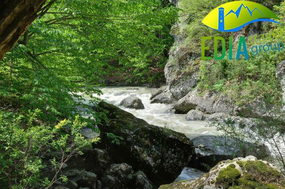 გთავაზობთ ერთ დღიან ტურს პანკისის ხეობაში