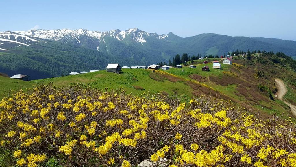 ბახმარო-გომის მთა (კვებით)