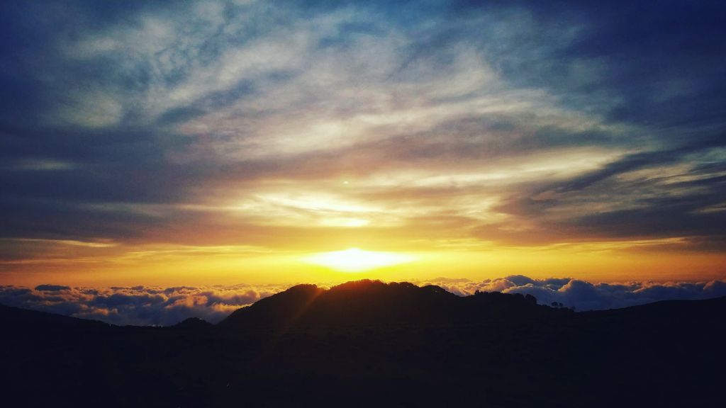 ბახმარო-გომის მთა-ურეკი (ჯერადი კვებით)