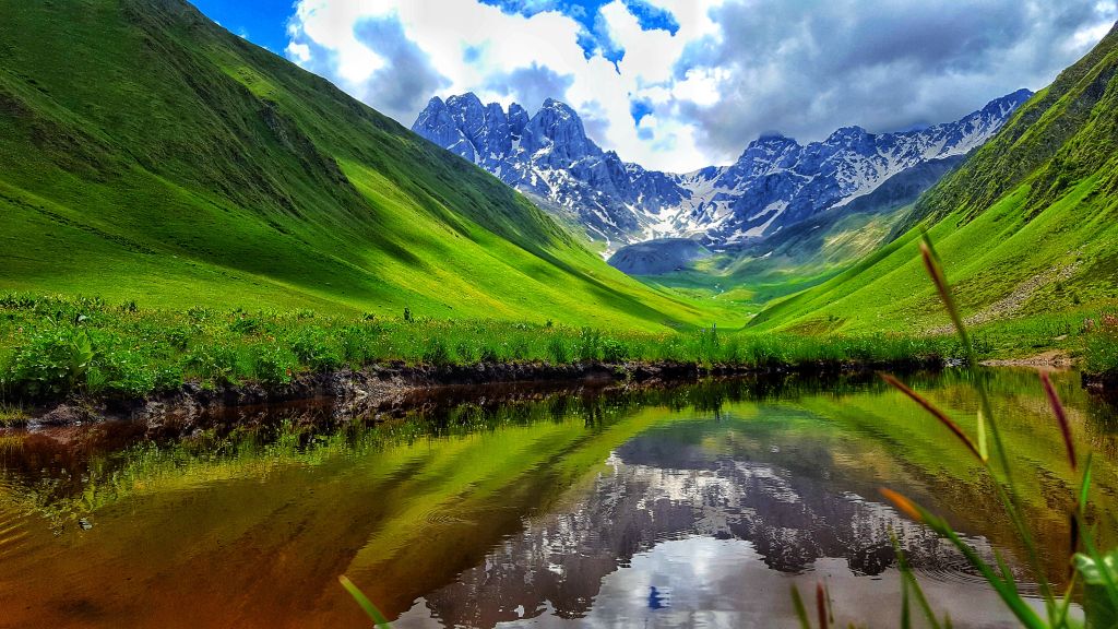 ჯუთა-ჭაუხები