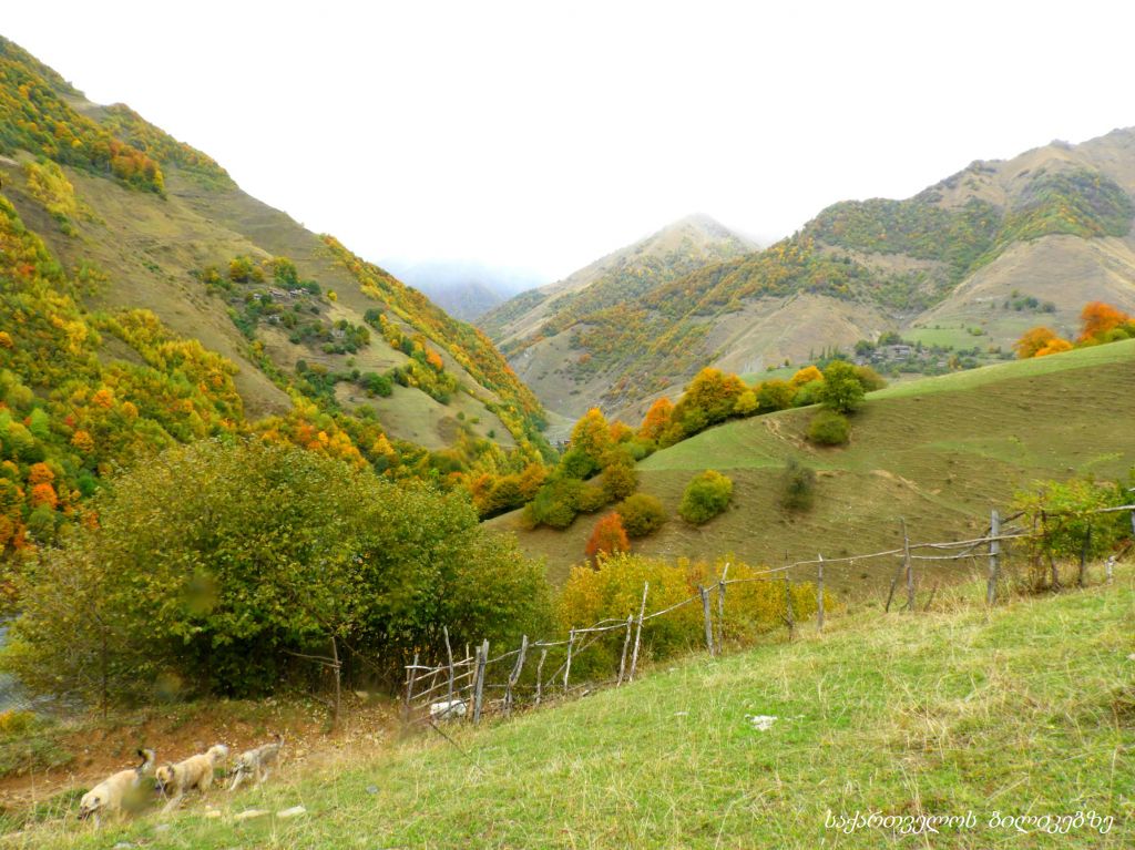 გუდამაყარი - შემოდგომის ფერებში