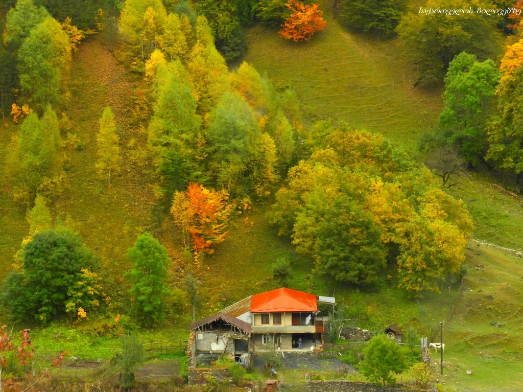 გუდამაყარი - შემოდგომის ფერებში