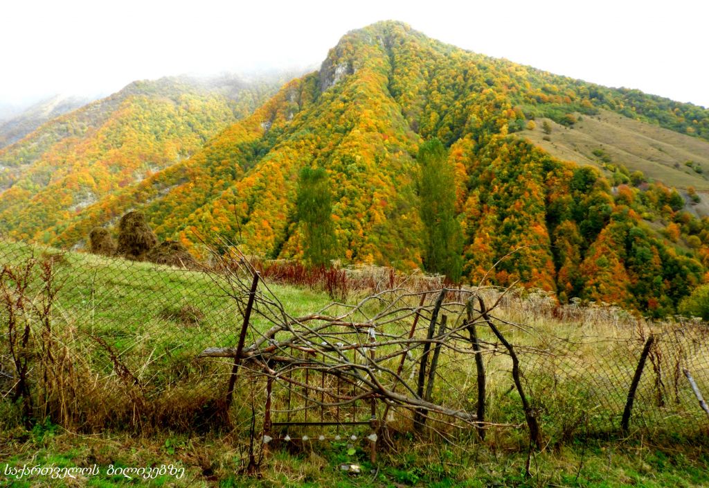 გუდამაყარი - შემოდგომის ფერებში