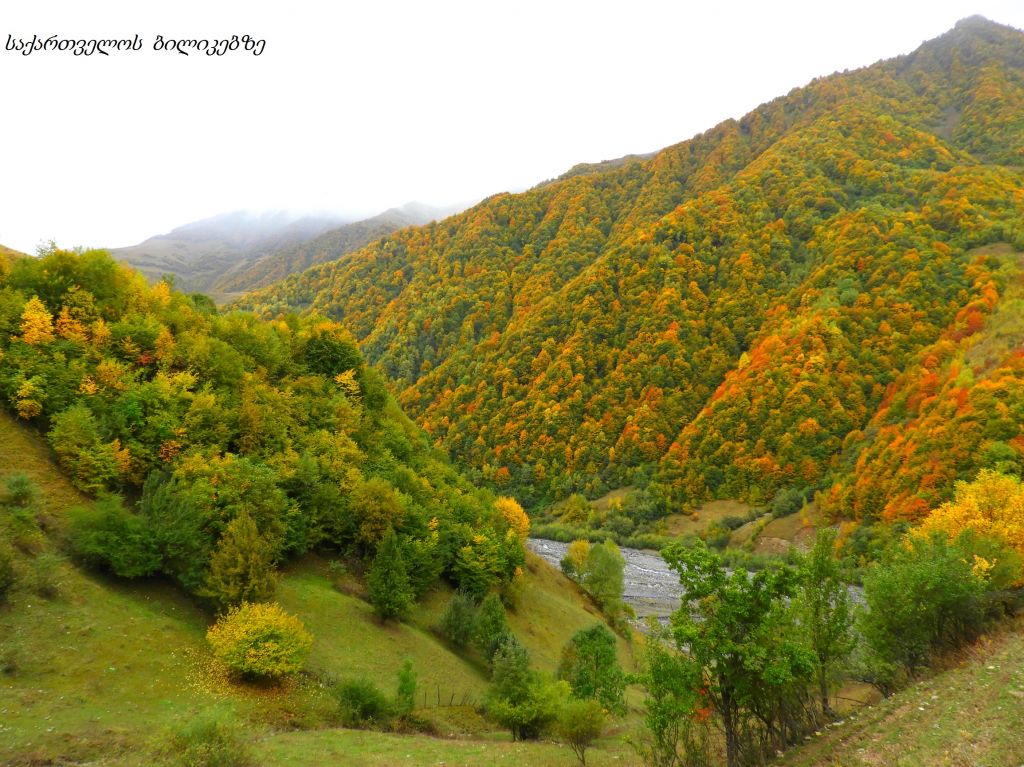 გუდამაყარი - შემოდგომის ფერებში
