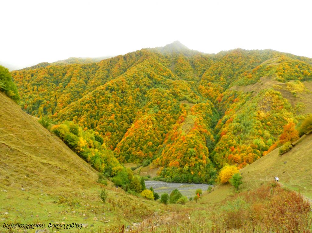 გუდამაყარი - შემოდგომის ფერებში