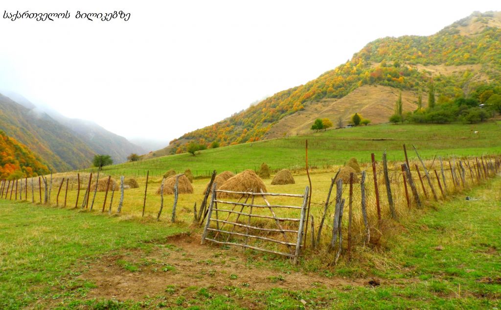 გუდამაყარი - შემოდგომის ფერებში