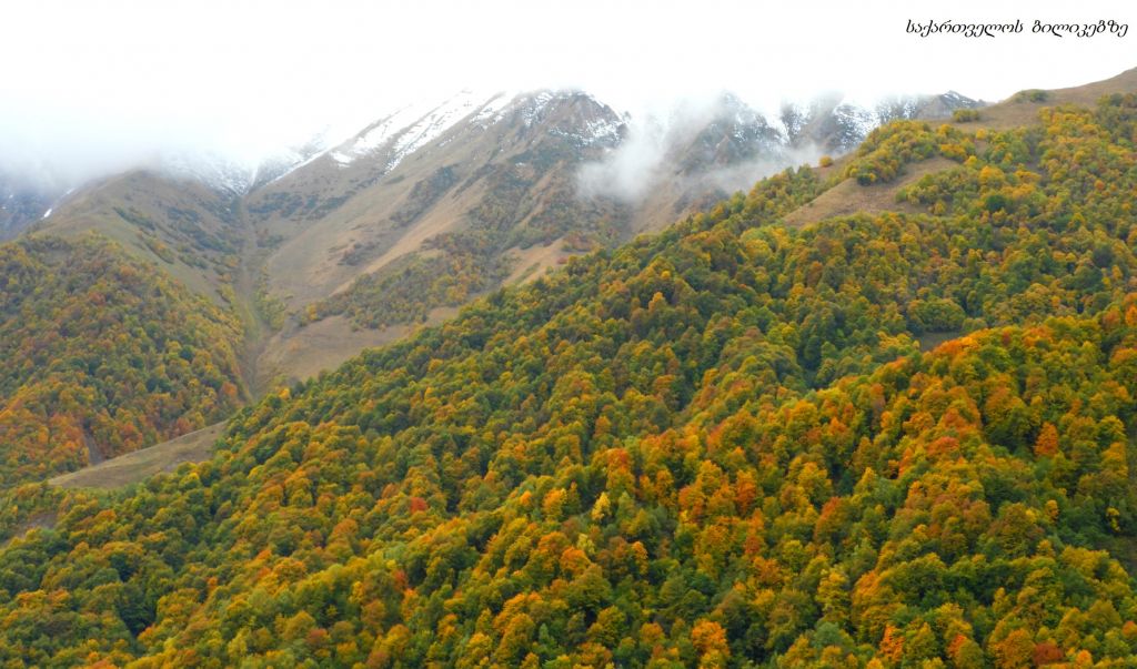 გუდამაყარი - შემოდგომის ფერებში