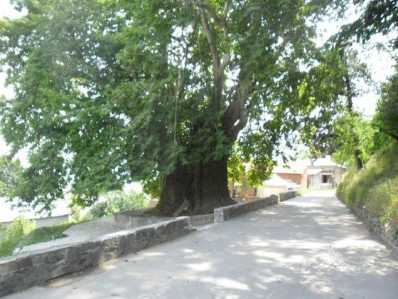 თელავი, ახმეტა, ყვარელი...