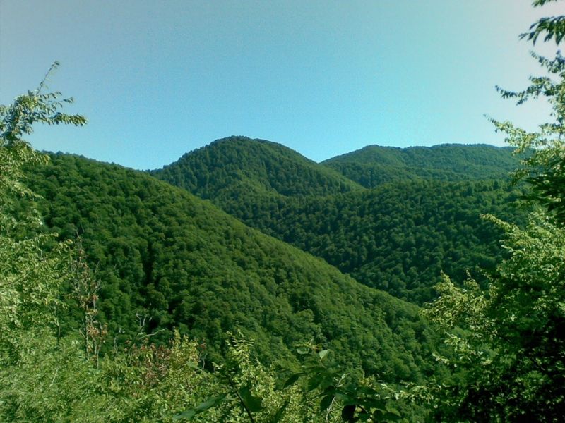 IMERETI