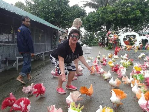 სიღნაღი - აუღებელი ციხე-სიმაგრე, ბოდბის მონასტერი, სამკურნალო წყარო ...!