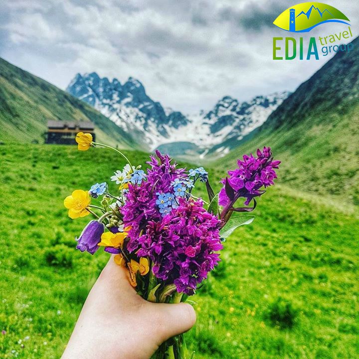 გთავაზობთ ერთ დღიან ტურს (შაბათს) ჯუთა ჭაუხში